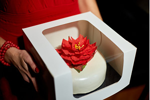 A Woman in a Red Dress Holds a, an Arts & Entertainment Photo by IlliaBondarPhotography