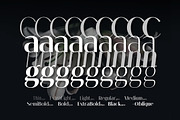Melloida High Contrast Sans Family, a Sans Serif Font by Lettertype Studio (Thumbnail 2 of 15)