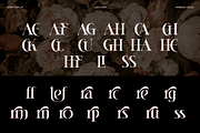 Heroma - Modern Ligatures Font, a Serif Font by Nirmana Visual (Thumbnail 4 of 8)