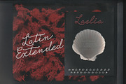 Laelia Font Family | Elegant Script, a Script Font by nadispasibenko (Thumbnail 6 of 11)