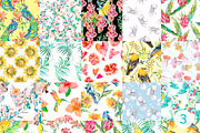 TOP 100 EPS patterns, a Pattern Graphic by Elizaveta (Thumbnail 4 of 6)