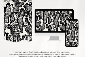 Snake Seamless Pattern Pdf Jpg Eps