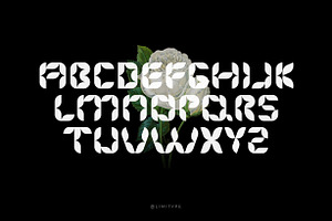 Florisa - Flowers Font