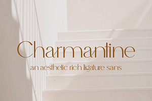 Charmantine A Rich Ligatured Sans