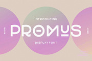 Promus Display Font, a Sans Serif Font by 160 Studio (Thumbnail 1 of 10)