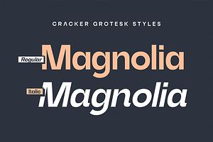 Cracker Grotesk Sans Serif Typeface