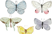 Watercolor Butterflies, an Illustration by Valeri Nick (Thumbnail 2 of 3)