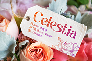 Rhenia - Elegan Display Font, a Font by PutraCetol Studio (Thumbnail 8 of 11)