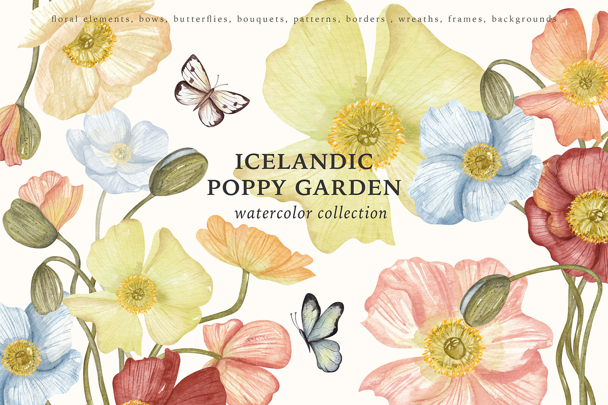 Watercolor Poppy. Bright Wildflower, a Decorative Illustration by Ooh Lily (Photo 1 of 15)