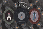 Hand Painted Insects Clipart, an Illustration by gamm (Thumbnail 1 of 9)