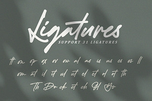 Black Signatures - Signature Font