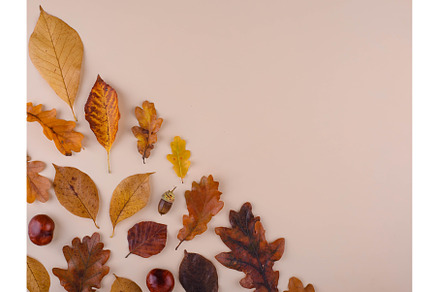 Autumn background with dry leaves., a Nature Photo by Yulia Furman