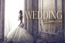 Wedding Display Font