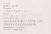 Whitley Pattrycia Luxury Calligraphy, a Script Font by Storytype Studio (Thumbnail 12 of 12)