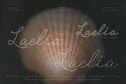 Laelia Font Family | Elegant Script, a Script Font by nadispasibenko (Thumbnail 2 of 11)