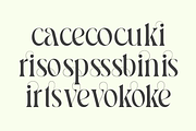 Pavon - 6 Tropic Family, a Serif Font by Dharmas Studio (Thumbnail 15 of 16)