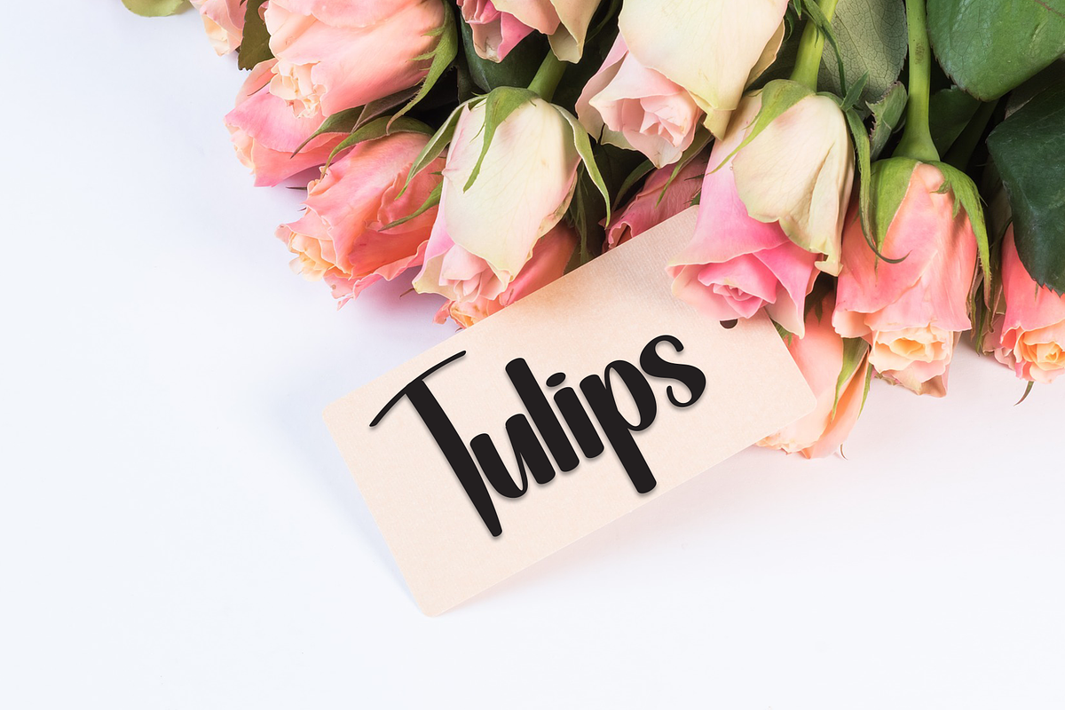 Brighton | Script Font, a Handwritten Font by Scratchones (Photo 3 of 9)