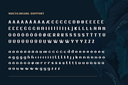 Drafbink | Serif Classic Modernism, a Serif Font by twinstd (Thumbnail 10 of 13)