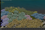 3D Cartoon Underwater Coral Reef Hab, an Environmental 3D Model by NOMODOL (Thumbnail 16 of 24)