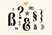TAN - Harmoni, a Serif Font by TanType (Thumbnail 10 of 19)