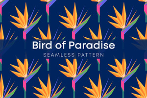 Bird Of Paradise Pattern