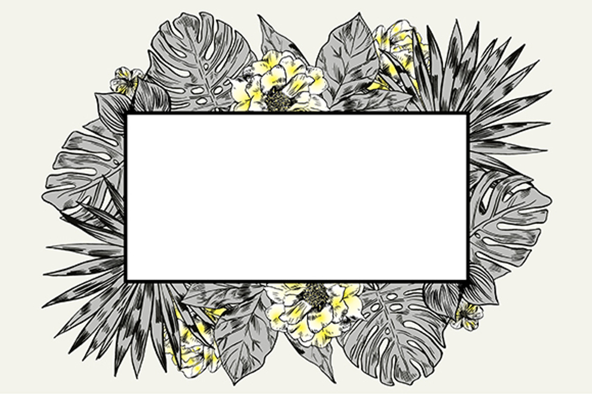 TROPIC set 2, a Decorative Illustration by Tanya Akhmett (Photo 6 of 10)