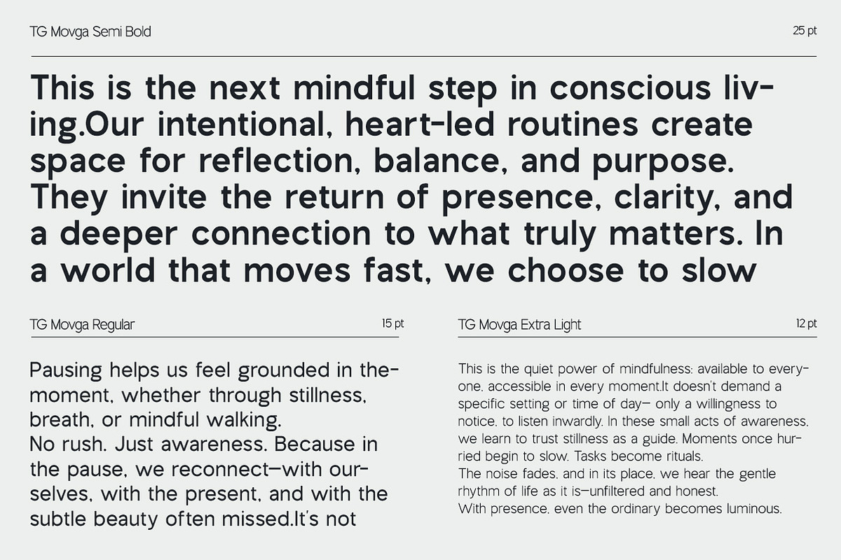 Movga Sans Grotesque Family, a Sans Serif Font by OV Type (Photo 4 of 13)