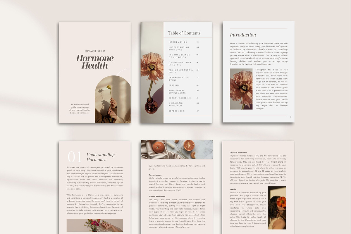 Hormone Ebook Canva Premade, a Presentation Template by Naturopath Hub (Photo 6 of 9)
