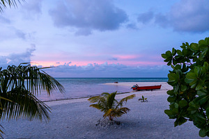 Serene sunset on a tropical beach in Tikehau, French Polynesia, a Nature Photo by GoodGoods