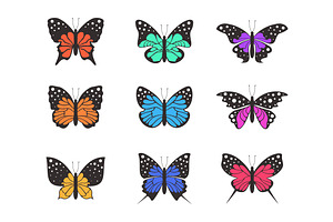 Icons Of Butterflies4