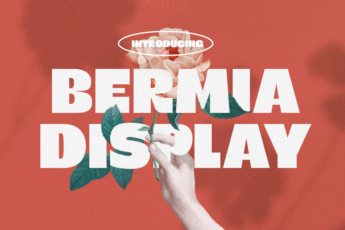 Bermia Display Font, a Sans Serif Font by Yukita Creative (Photo 1 of 9)