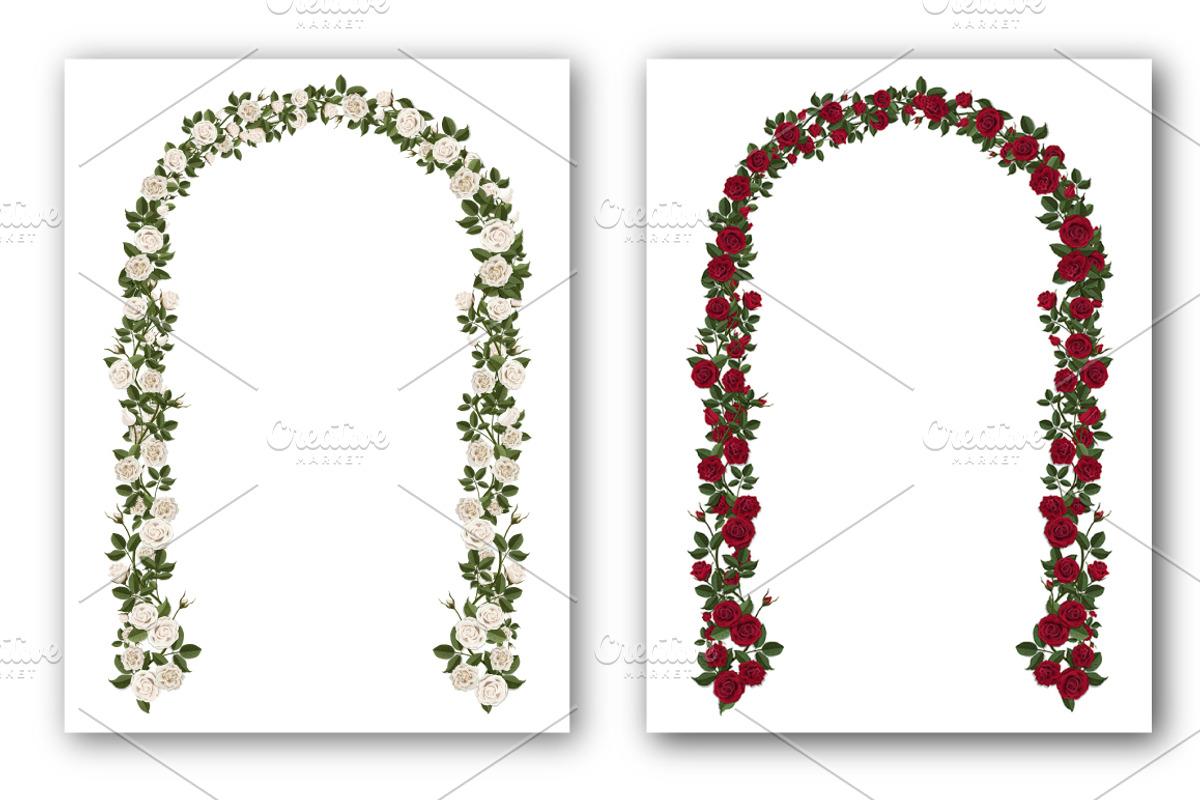 Set of white and red vector roses, an Illustration by belander (Photo 9 of 10)