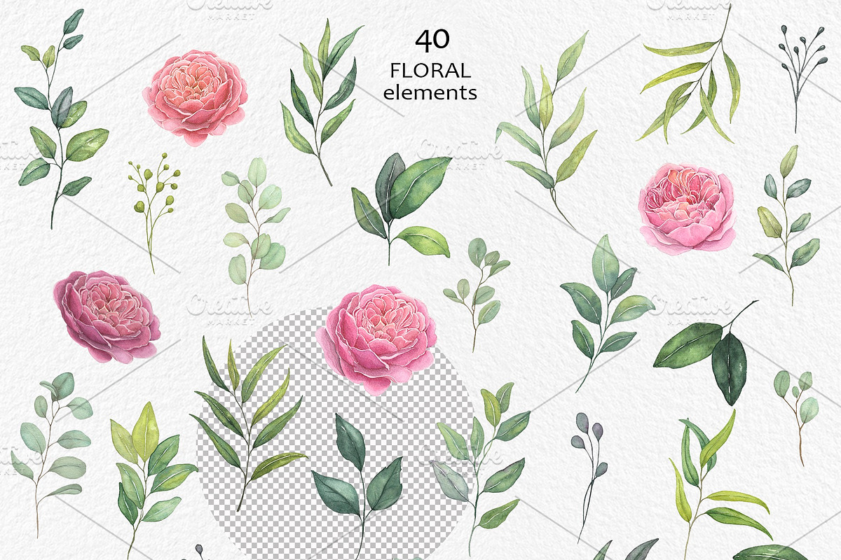 Roses - Watercolor Floral Collection, an Illustration by Elly Studio (Photo 13 of 16)