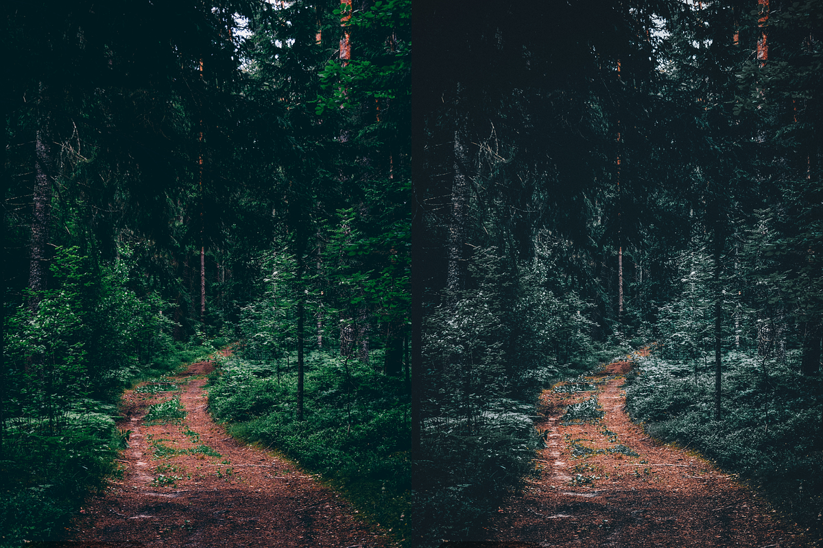 10 Forest Lightroom Presets, a Preset Add-On by RamsaGraphi (Photo 8 of 10)