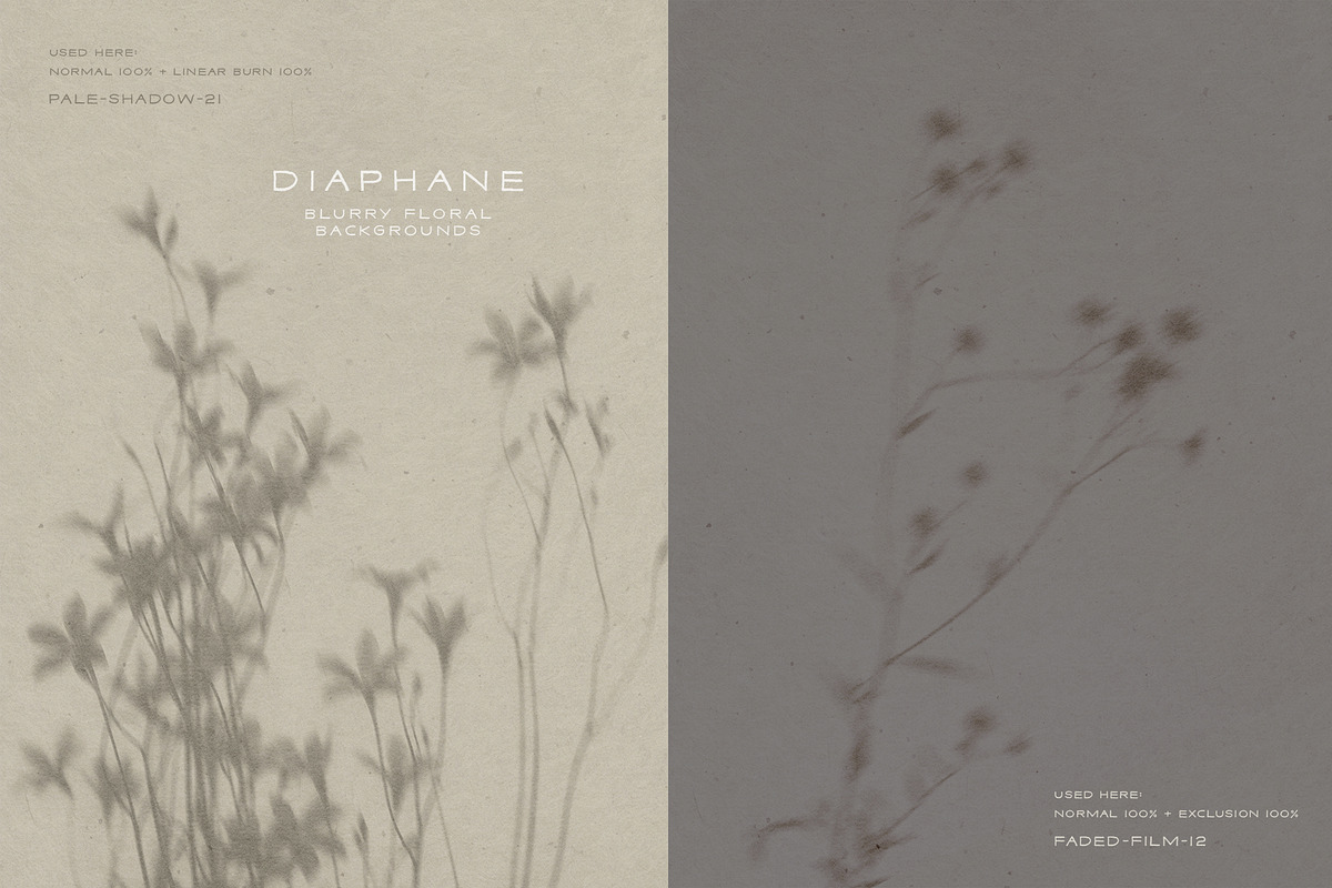 Diaphane - Blurry Floral Backgrounds, a Background Graphic by alonahaidash (Photo 8 of 16)