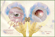 Petals Garden Collage Kit, an Object Graphic by Purple (Thumbnail 7 of 15)