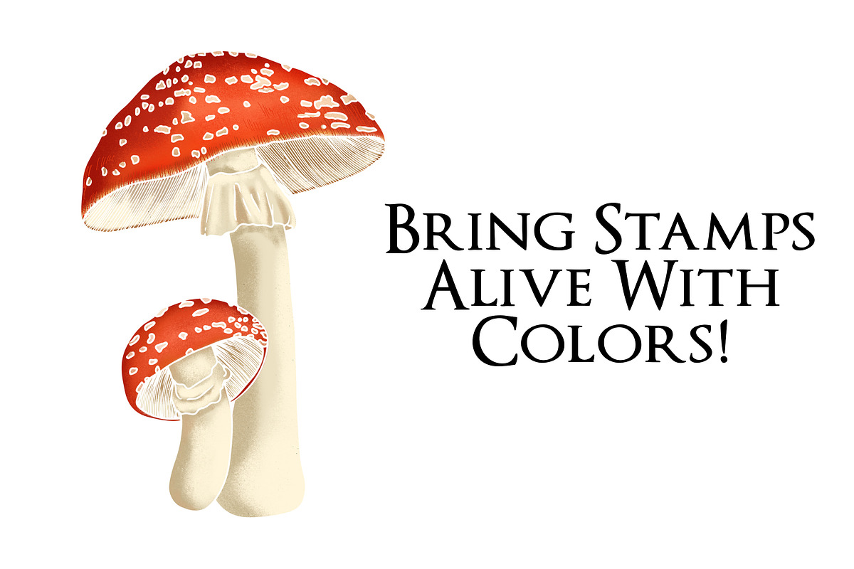 Procreate Wild Mushroom Stamps, a Brush Add-On by BrushBoy (Photo 7 of 7)