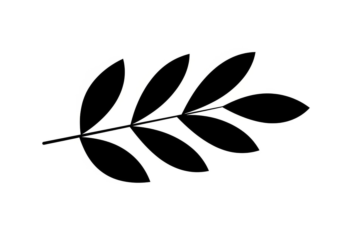 Botanical Leaf Silhouette Bundle, an Illustration by Creativeshirt (Photo 45 of 51)