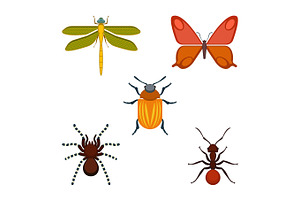 Collection Of Bugs And Insects On Vector Illustration