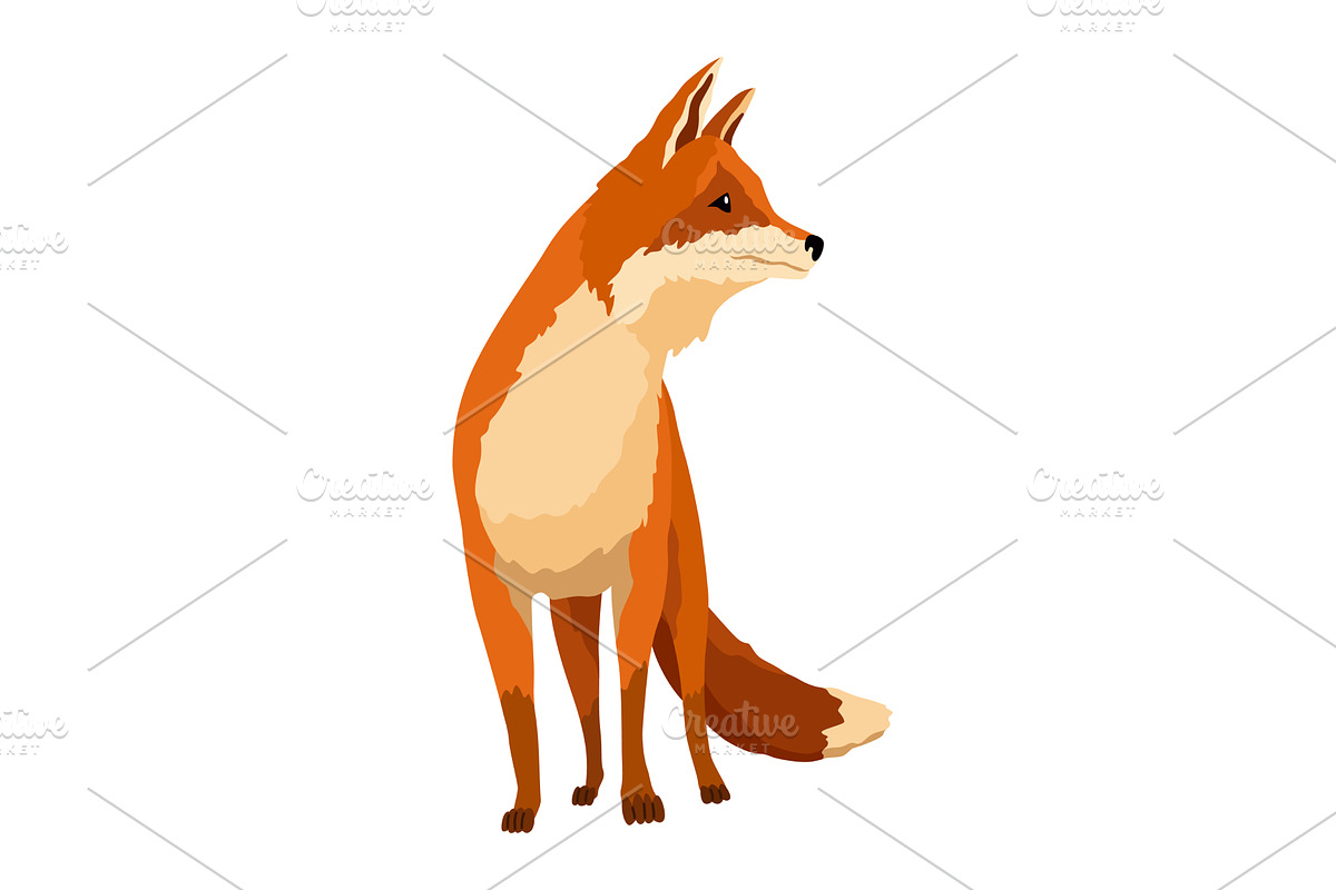Red fox. Funny character, forest, an Animal Illustration by the8monkey
