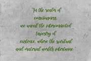 Cithronia Brush Font, a Script Font by Anomali Creatype (Thumbnail 9 of 10)