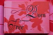 Stradivelle - Script Font, a Script Font by Lilithcollageart (Thumbnail 9 of 10)
