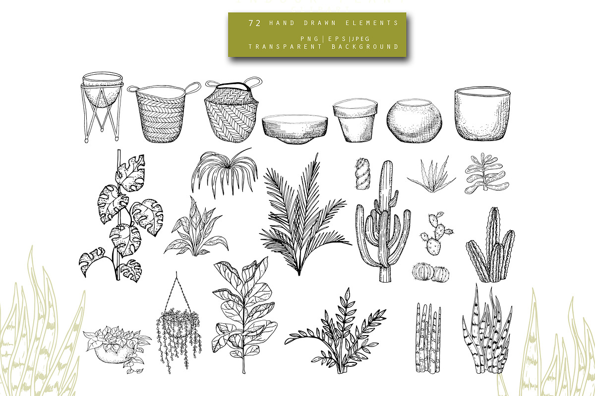 Home Plants Clipart Collection, a Graphic by Hand drawn Boutique (Photo 4 of 10)