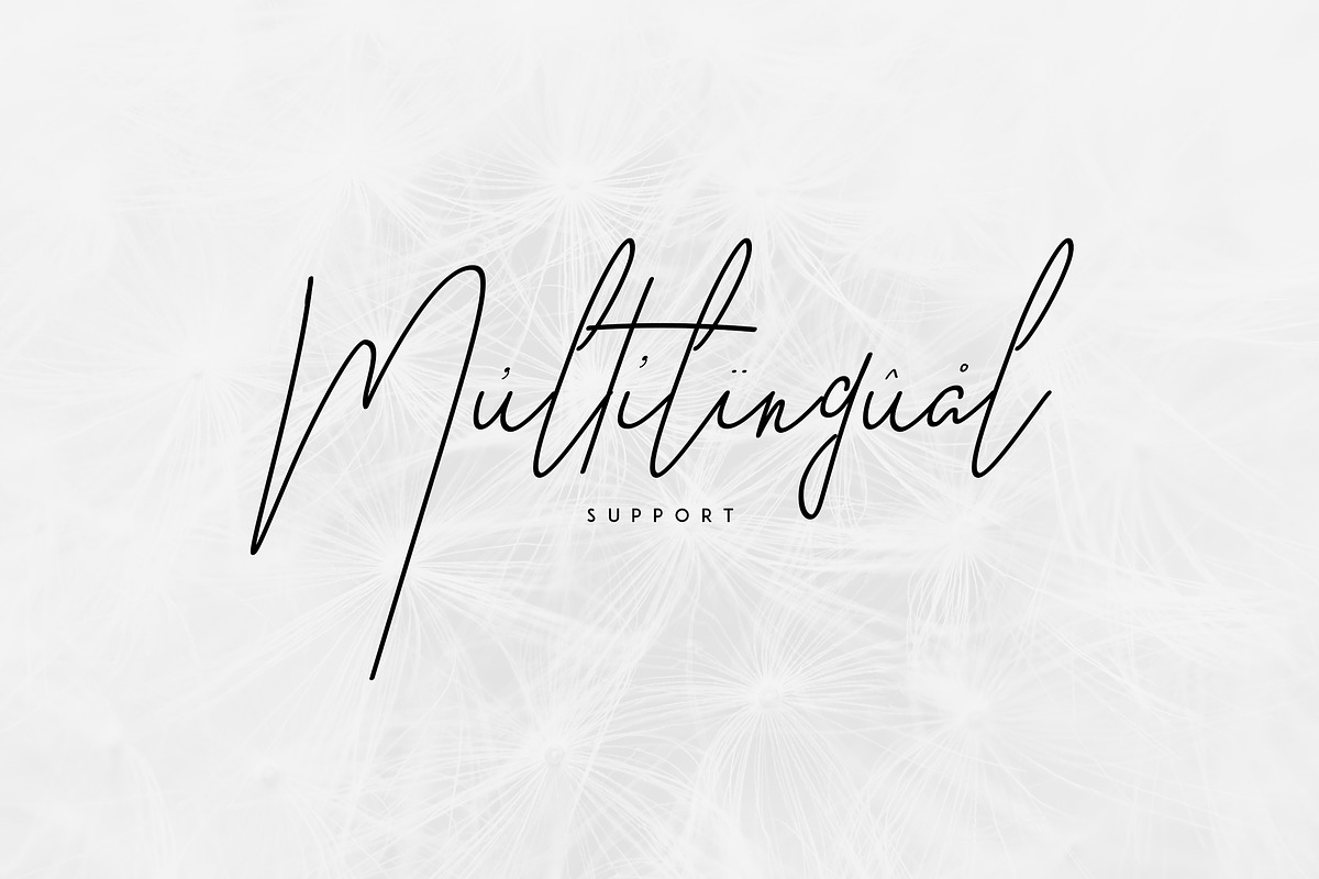Good Wish Signature font -30% preview 6