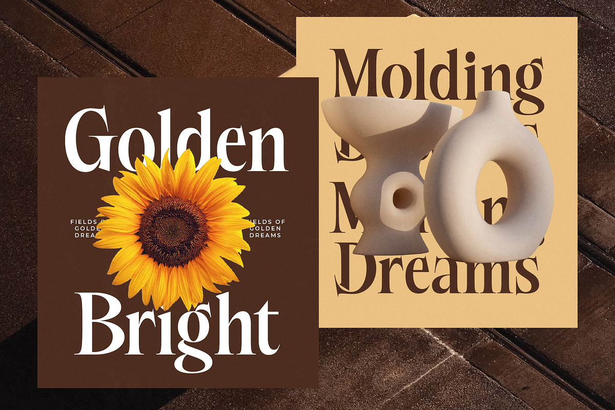 Besteza Modern Serif Display, a Font by timelesstype.co (Photo 8 of 19)