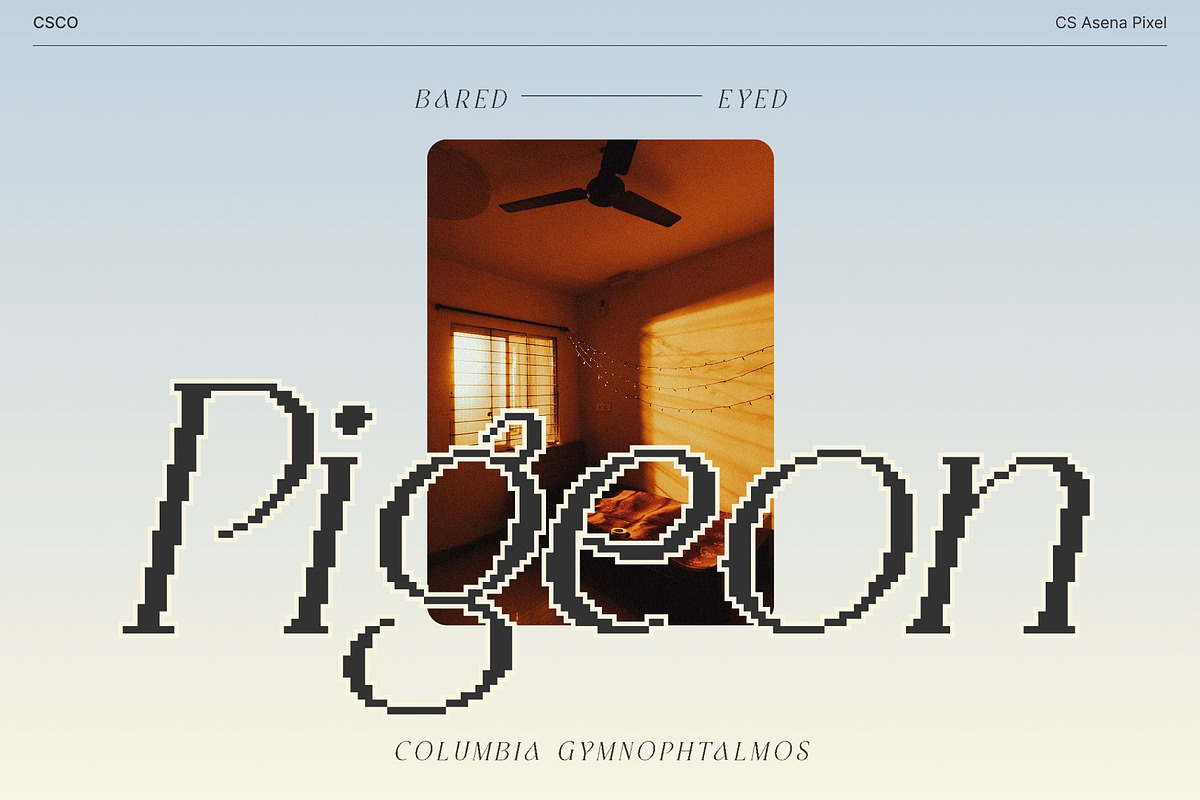 CS Asena Pixel, a Serif Font by Craft Supply Co. (Photo 6 of 8)