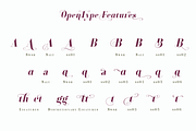 Decize Family, a Serif Font by Eurotypo (Thumbnail 5 of 6)