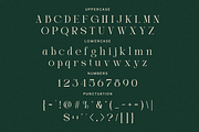 Ligature Elegant Serif - Haggia, a Serif Font by Font Liner (Thumbnail 8 of 8)
