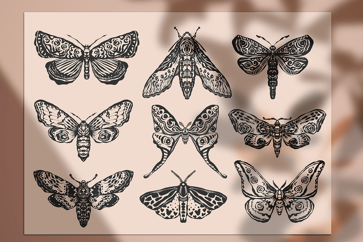 Procreate Stamps Magical Moths Brush, a Brush Add-On by MakeMyPlaceDesign (Photo 2 of 2)
