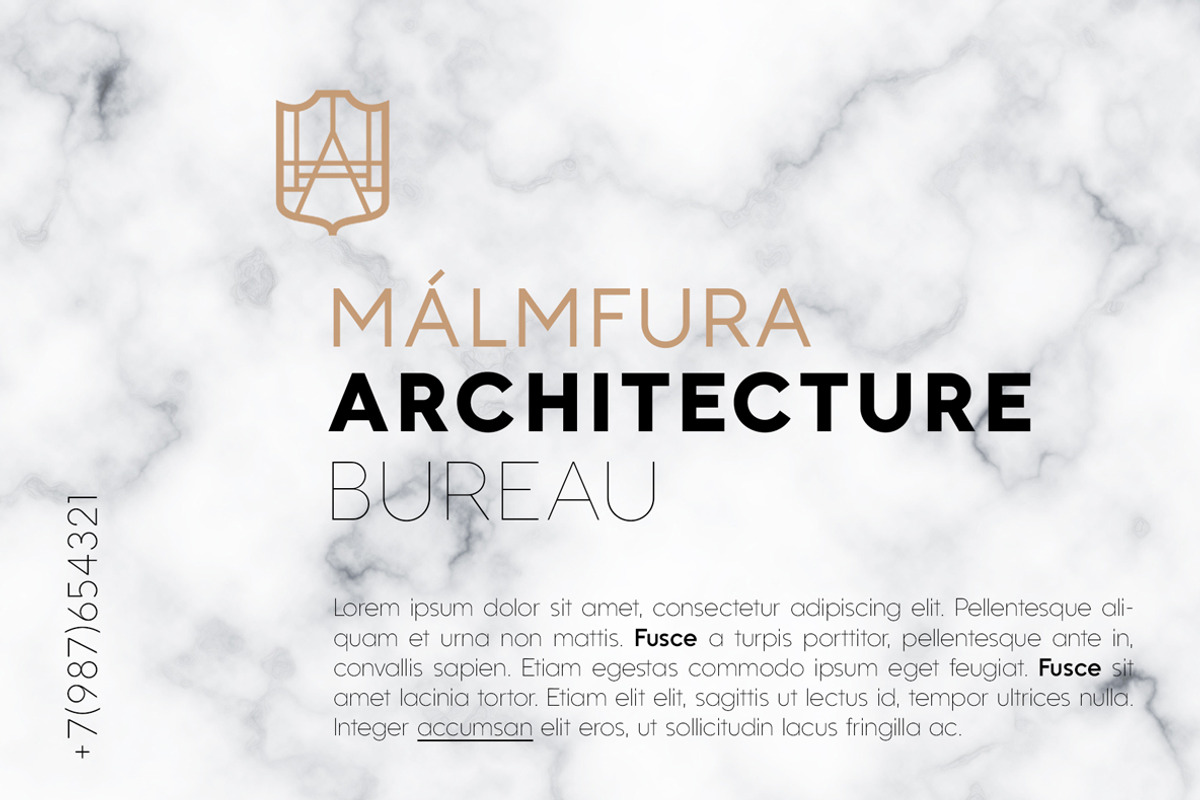 Kontora | 9 Fonts, a Sans Serif Font by NAUM (Photo 5 of 11)